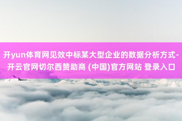 开yun体育网见效中标某大型企业的数据分析方式-开云官网切尔西赞助商 (中国)官方网站 登录入口