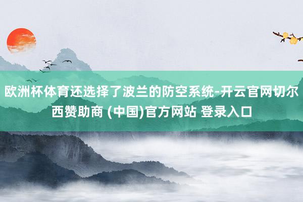 欧洲杯体育还选择了波兰的防空系统-开云官网切尔西赞助商 (中
