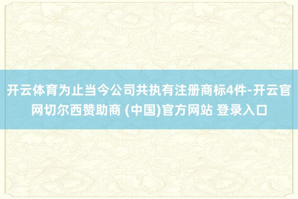 开云体育为止当今公司共执有注册商标4件-开云官网切尔西赞助商