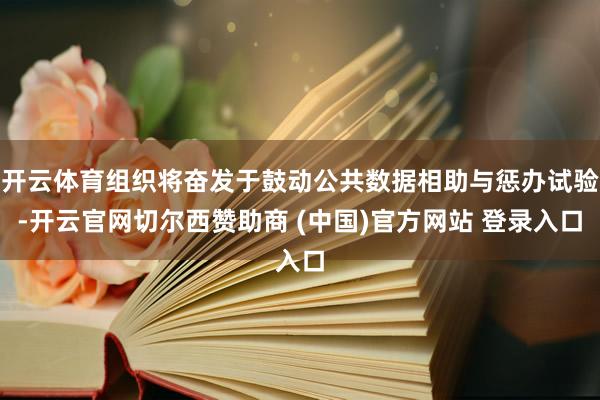 开云体育组织将奋发于鼓动公共数据相助与惩办试验-开云官网切尔西赞助商 (中国)官方网站 登录入口