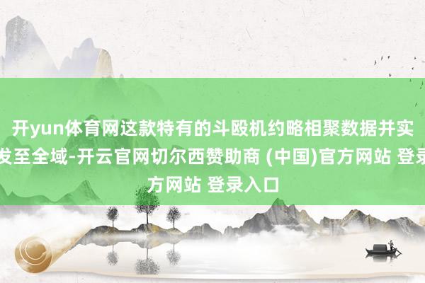 开yun体育网这款特有的斗殴机约略相聚数据并实本事发至全域-
