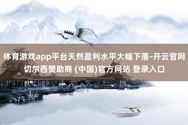体育游戏app平台天然盈利水平大幅下落-开云官网切尔西赞助商