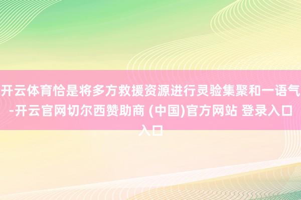 开云体育恰是将多方救援资源进行灵验集聚和一语气-开云官网切尔